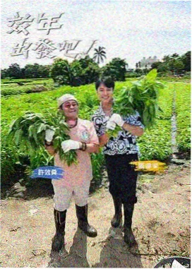 脑力大挑战综艺海报